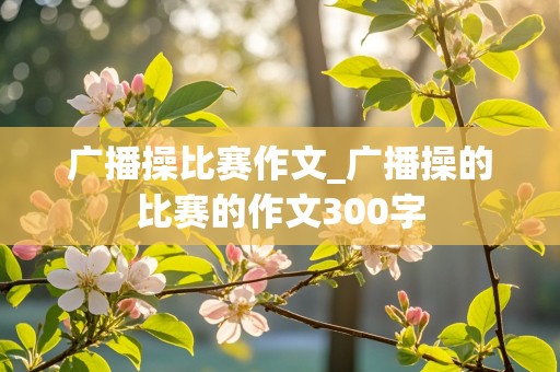 广播操比赛作文_广播操的比赛的作文300字