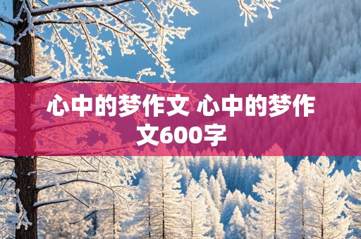 心中的梦作文 心中的梦作文600字