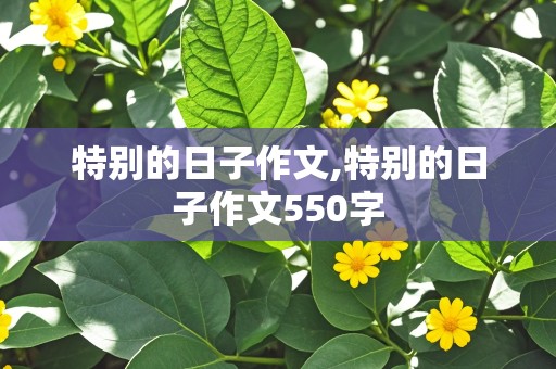 特别的日子作文,特别的日子作文550字