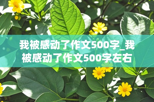 我被感动了作文500字_我被感动了作文500字左右