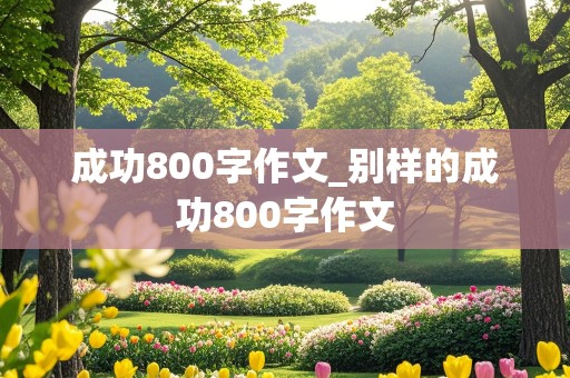 成功800字作文_别样的成功800字作文