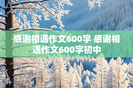 感谢相遇作文600字 感谢相遇作文600字初中