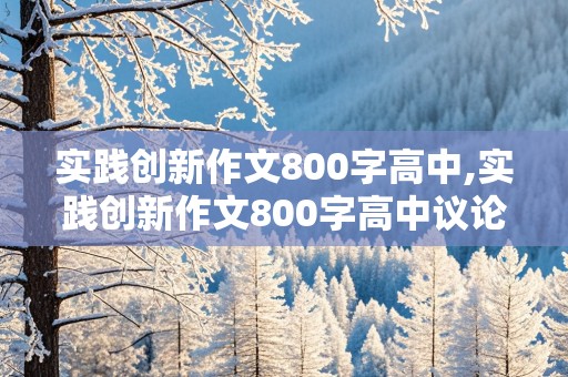 实践创新作文800字高中,实践创新作文800字高中议论文