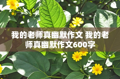 我的老师真幽默作文 我的老师真幽默作文600字