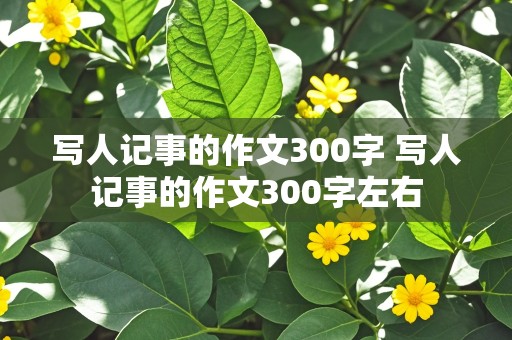 写人记事的作文300字 写人记事的作文300字左右