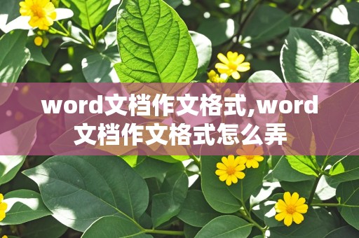 word文档作文格式,word文档作文格式怎么弄