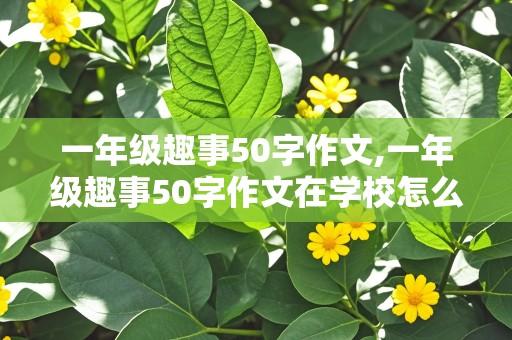 一年级趣事50字作文,一年级趣事50字作文在学校怎么写