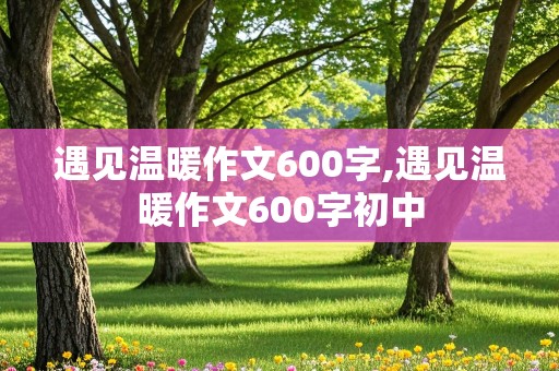 遇见温暖作文600字,遇见温暖作文600字初中