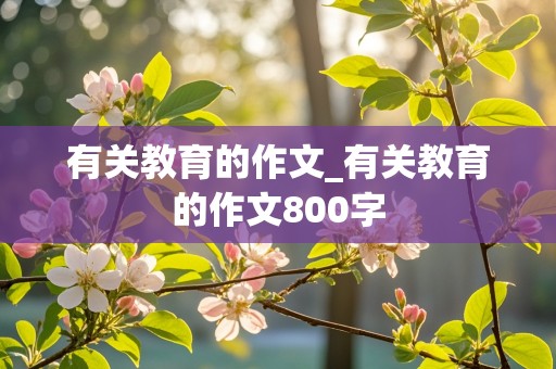 有关教育的作文_有关教育的作文800字