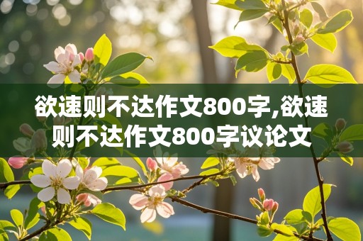 欲速则不达作文800字,欲速则不达作文800字议论文