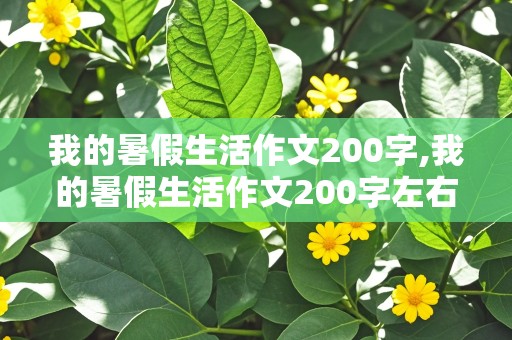 我的暑假生活作文200字,我的暑假生活作文200字左右三年级