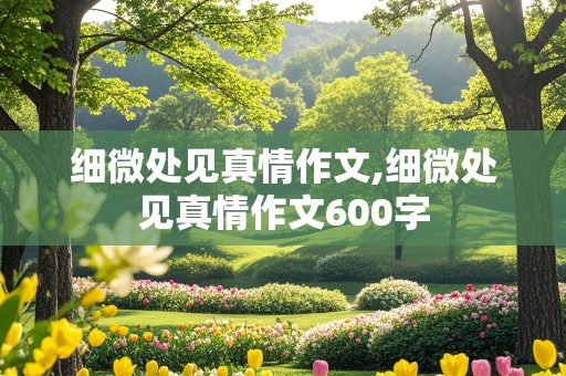 细微处见真情作文,细微处见真情作文600字