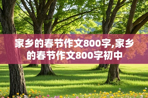 家乡的春节作文800字,家乡的春节作文800字初中