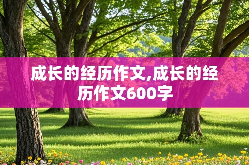 成长的经历作文,成长的经历作文600字