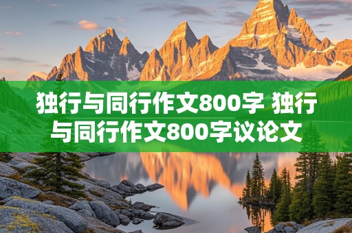 独行与同行作文800字 独行与同行作文800字议论文