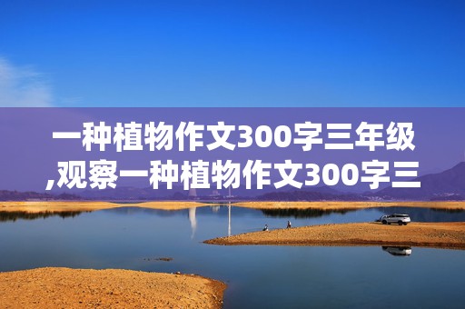 一种植物作文300字三年级,观察一种植物作文300字三年级