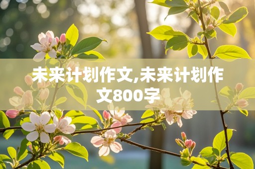 未来计划作文,未来计划作文800字