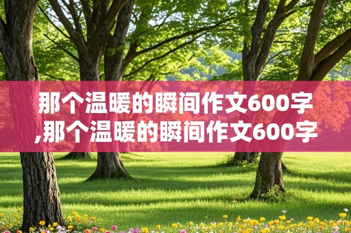 那个温暖的瞬间作文600字,那个温暖的瞬间作文600字初中