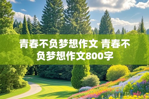 青春不负梦想作文 青春不负梦想作文800字