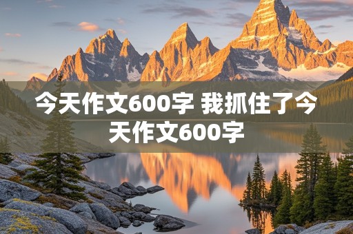 今天作文600字 我抓住了今天作文600字