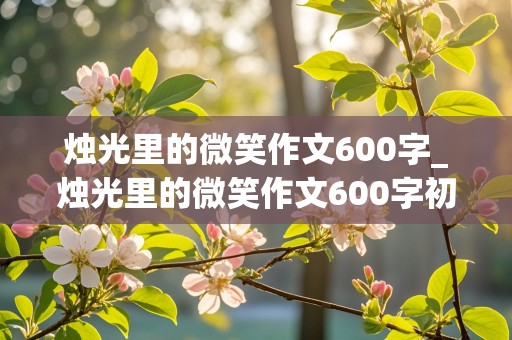 烛光里的微笑作文600字_烛光里的微笑作文600字初中