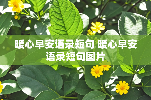 暖心早安语录短句 暖心早安语录短句图片