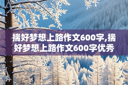 揣好梦想上路作文600字,揣好梦想上路作文600字优秀