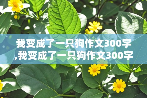 我变成了一只狗作文300字,我变成了一只狗作文300字三年级上册