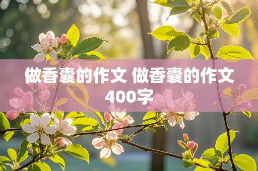 做香囊的作文 做香囊的作文400字