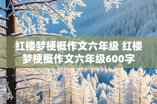 红楼梦梗概作文六年级 红楼梦梗概作文六年级600字