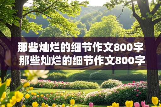 那些灿烂的细节作文800字 那些灿烂的细节作文800字中考作文