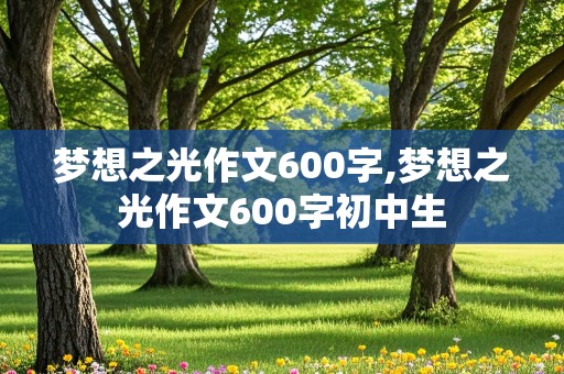 梦想之光作文600字,梦想之光作文600字初中生