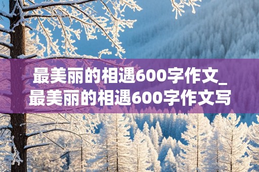 最美丽的相遇600字作文_最美丽的相遇600字作文写人