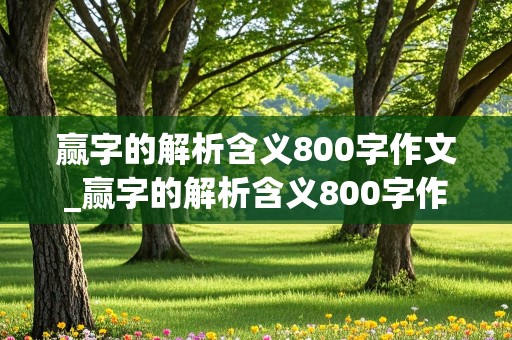 赢字的解析含义800字作文_赢字的解析含义800字作文议论文