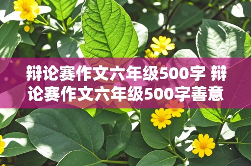 辩论赛作文六年级500字 辩论赛作文六年级500字善意的谎言