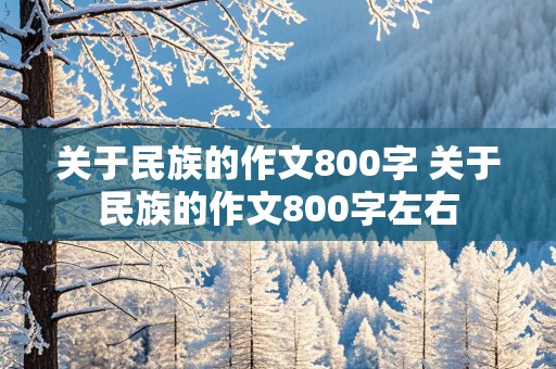 关于民族的作文800字 关于民族的作文800字左右