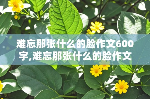 难忘那张什么的脸作文600字,难忘那张什么的脸作文600字左右