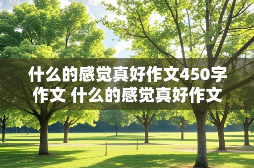 什么的感觉真好作文450字作文 什么的感觉真好作文450字作文六年级