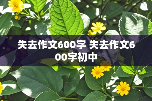 失去作文600字 失去作文600字初中