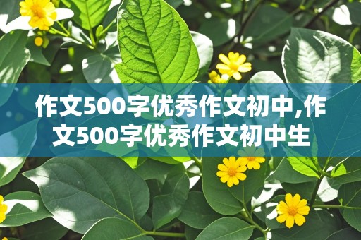 作文500字优秀作文初中,作文500字优秀作文初中生