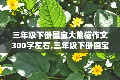 三年级下册国宝大熊猫作文300字左右,三年级下册国宝大熊猫作文300字左右(说明文)