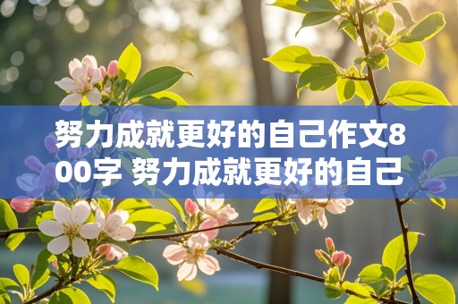 努力成就更好的自己作文800字 努力成就更好的自己作文800字议论文