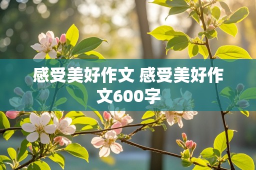 感受美好作文 感受美好作文600字