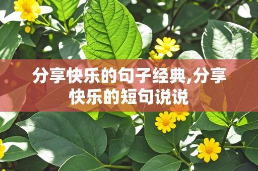 分享快乐的句子经典,分享快乐的短句说说