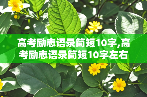 高考励志语录简短10字,高考励志语录简短10字左右