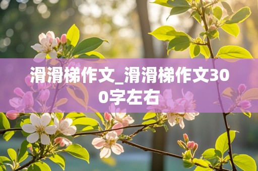 滑滑梯作文_滑滑梯作文300字左右