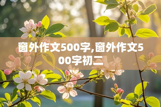 窗外作文500字,窗外作文500字初二