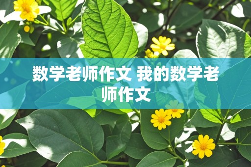 数学老师作文 我的数学老师作文