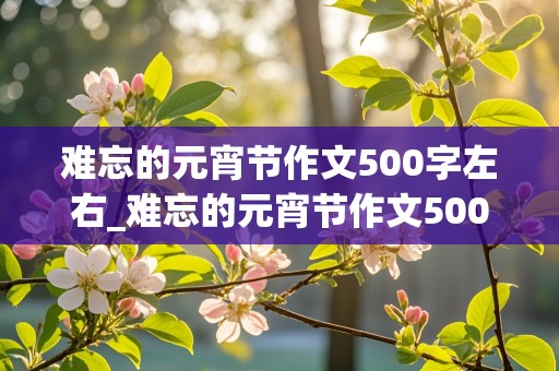 难忘的元宵节作文500字左右_难忘的元宵节作文500字左右包汤圆