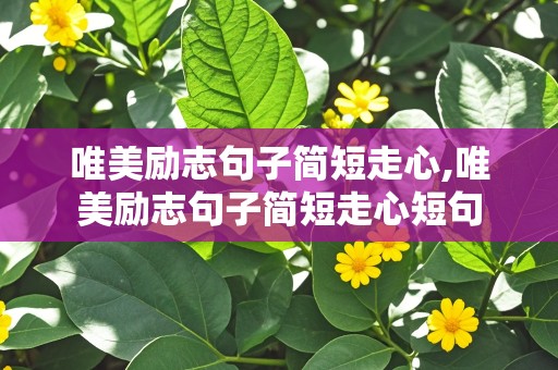 唯美励志句子简短走心,唯美励志句子简短走心短句